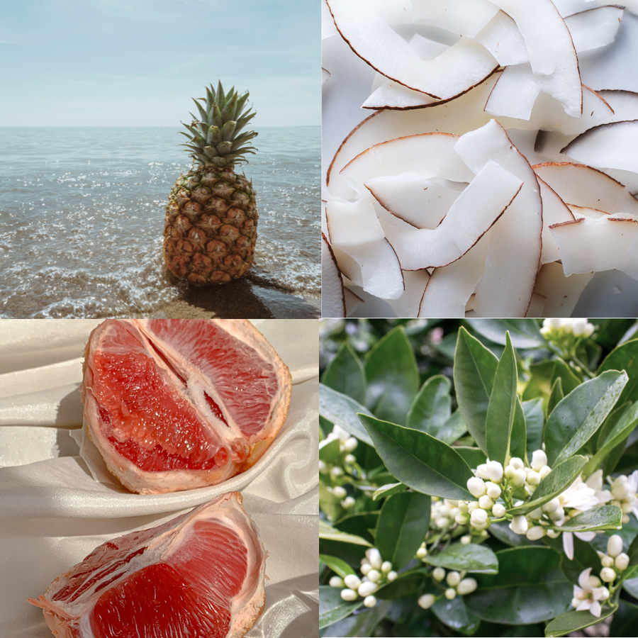 Candle  |  Shell Beach