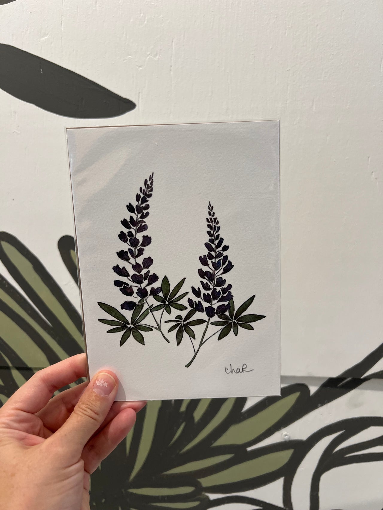 Arctic Lupines - Artwork by Charlotte Heffelfinger