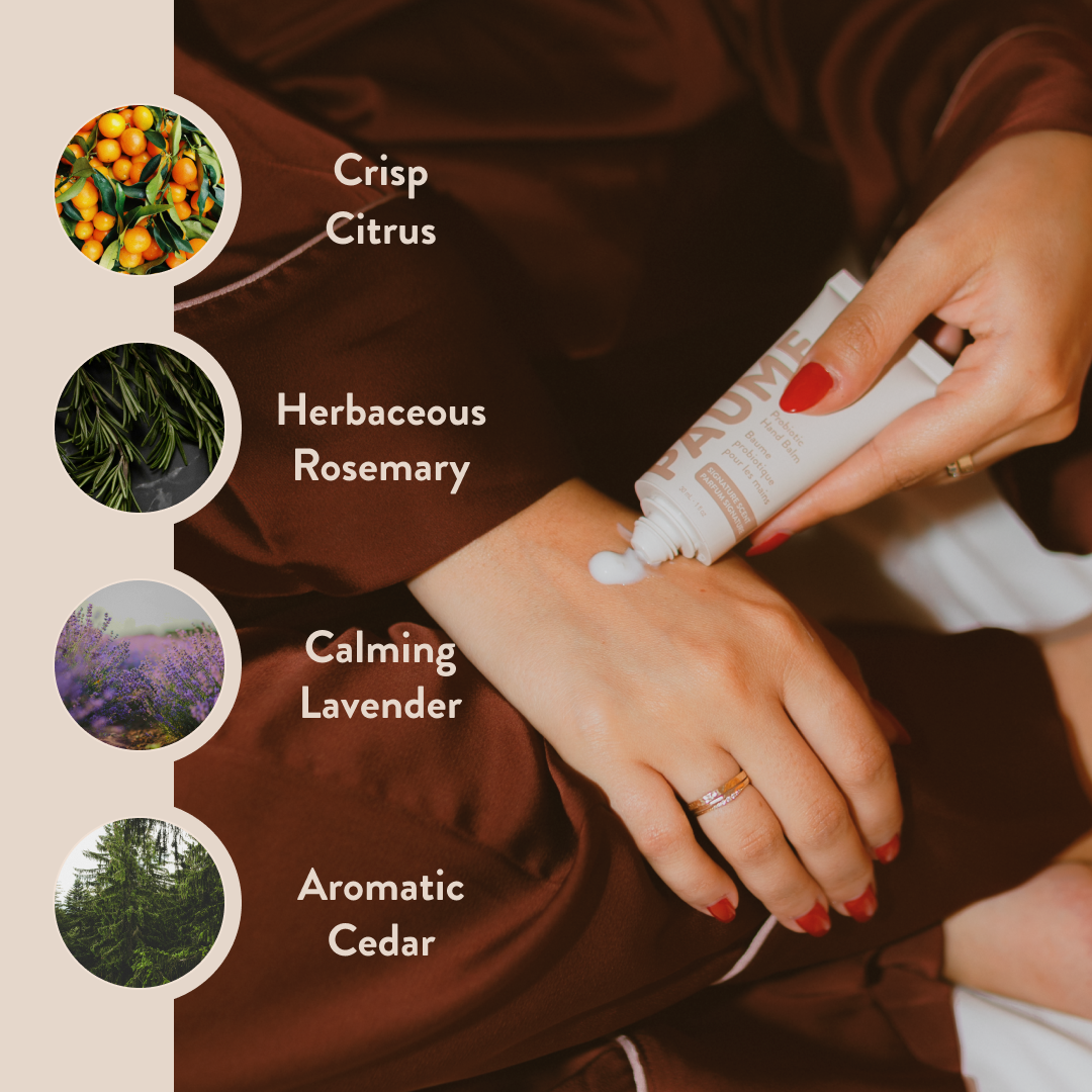 Probiotic Hand Balm  |  2 oz
