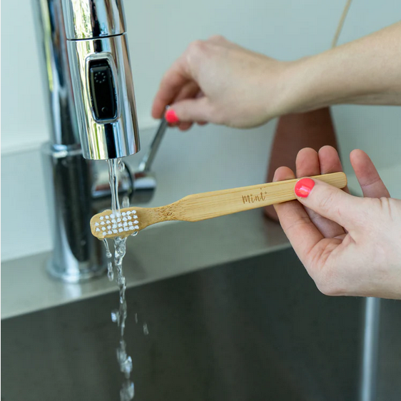 Cleaning Brush