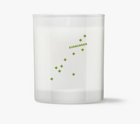 Thumbnail for Candle  |  Evergreen  |  Balsam Fir & Cedar