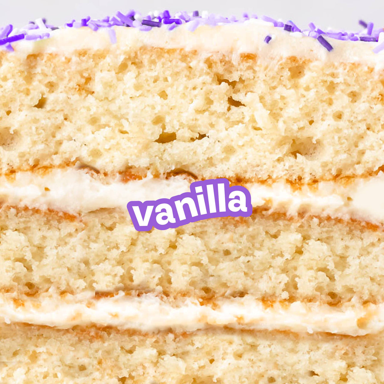 Vegan Lip Balm  |  Vanilla