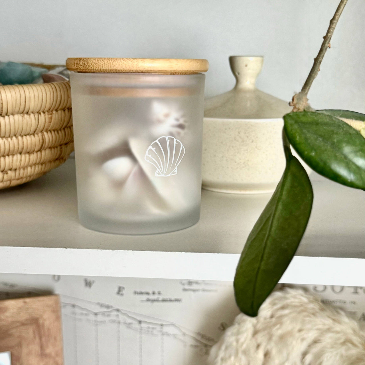 Candle  |  Shell Beach