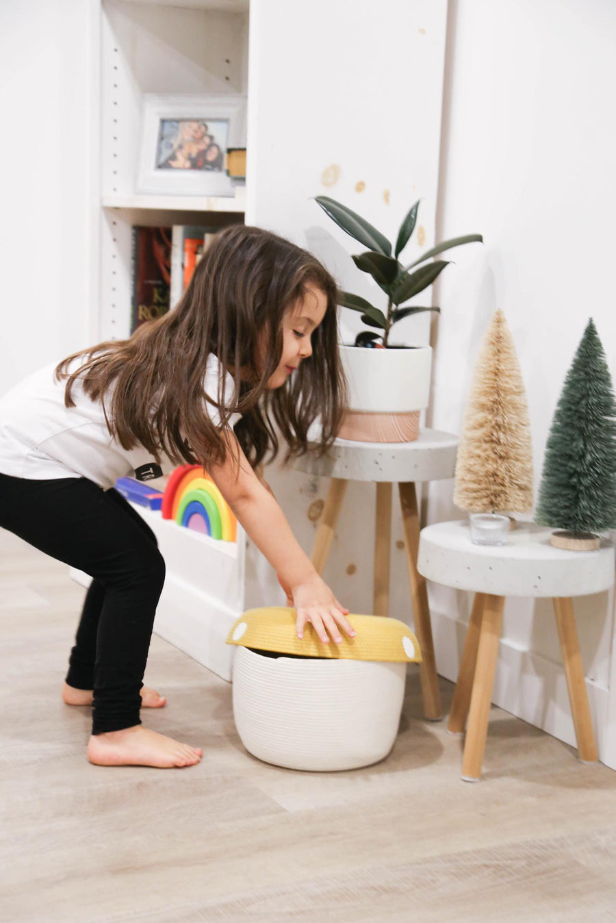 Mushroom Storage Basket