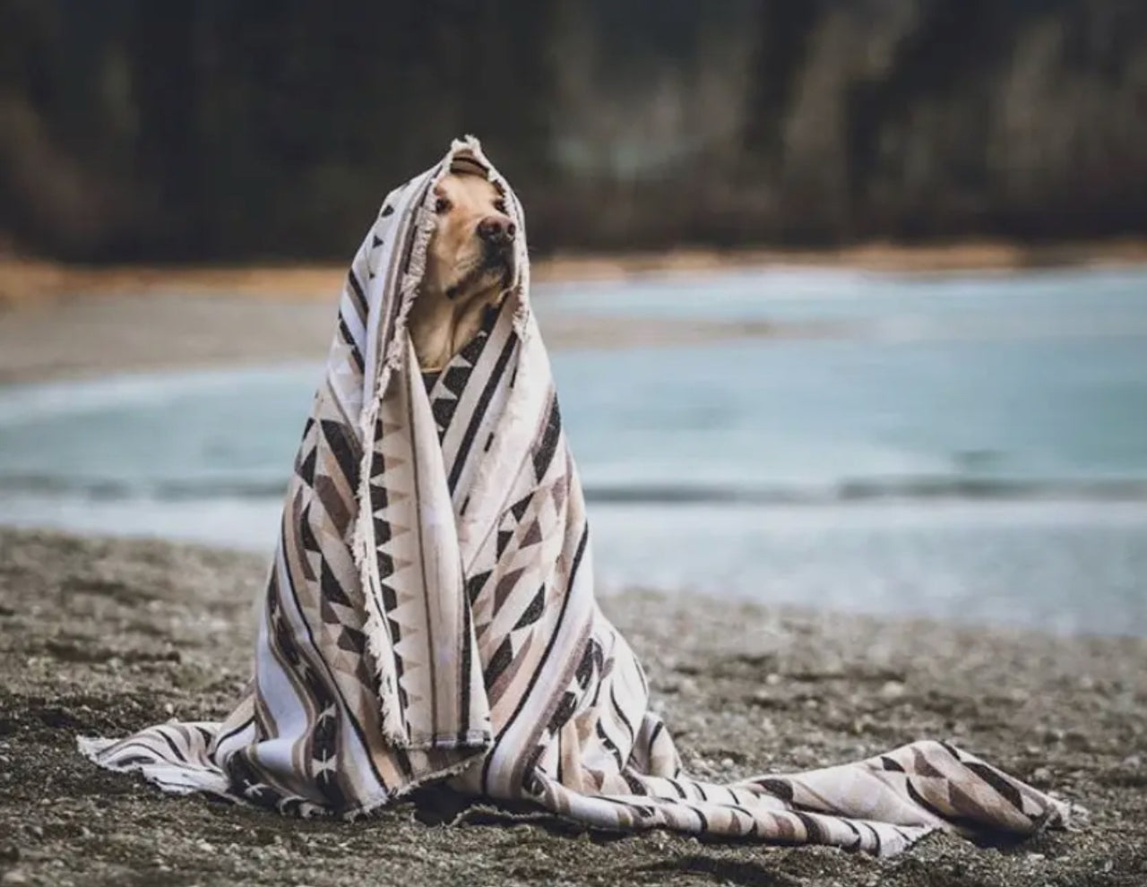 Tofino Beach Blanket - Summit