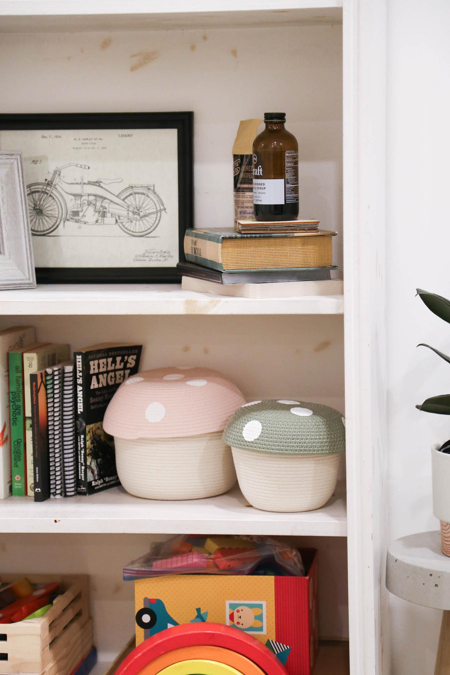 Mushroom Storage Basket