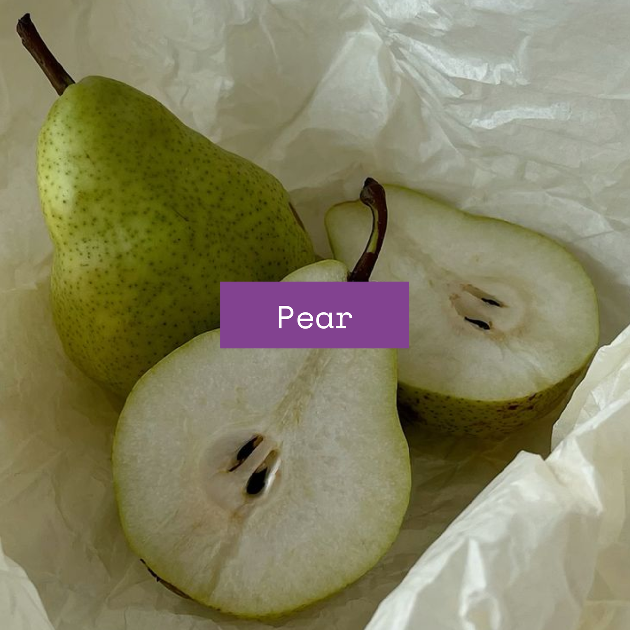 Candle  |  Bud  |  Lilac & Pear