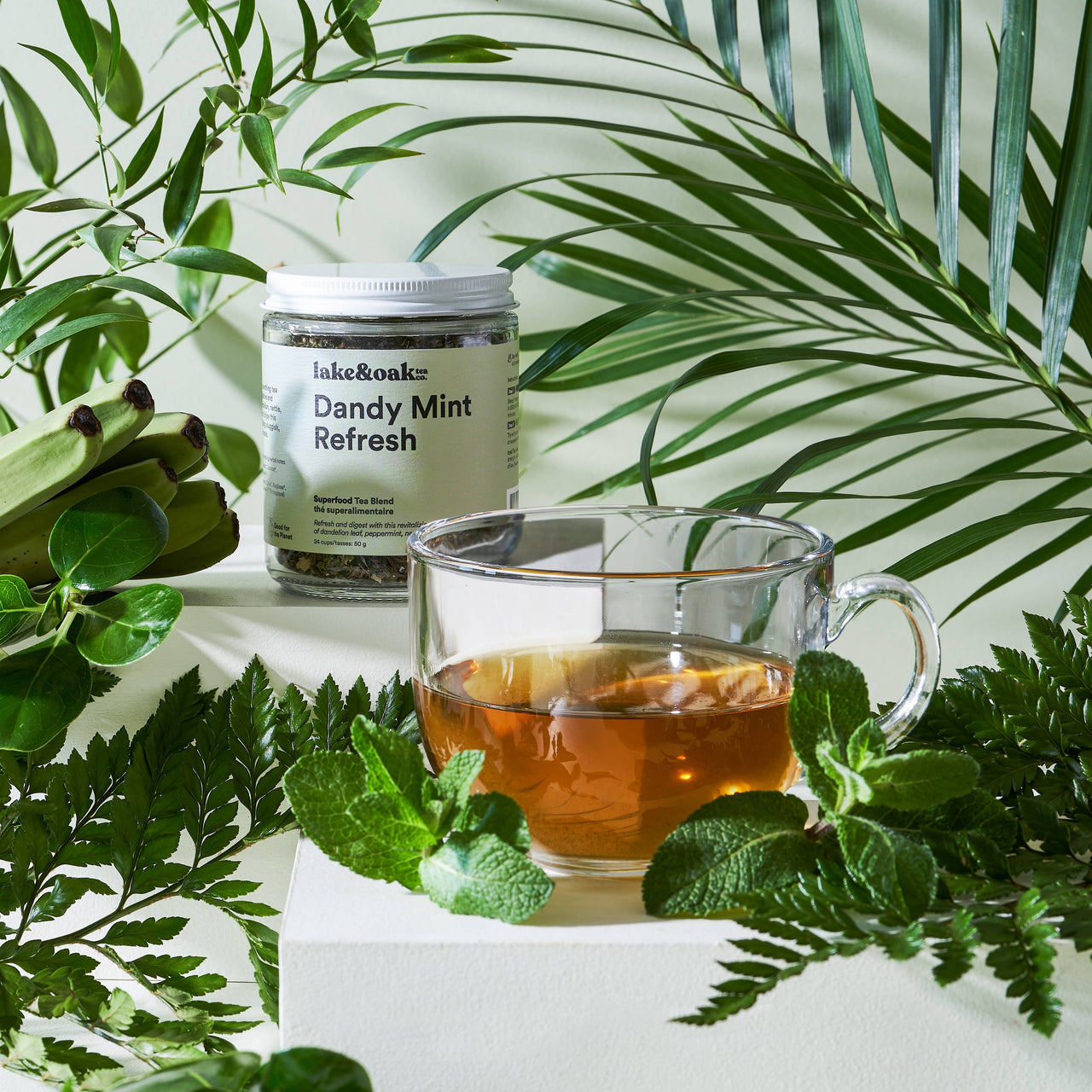 Dandy Mint Refresh  |  Superfood Tea Blend